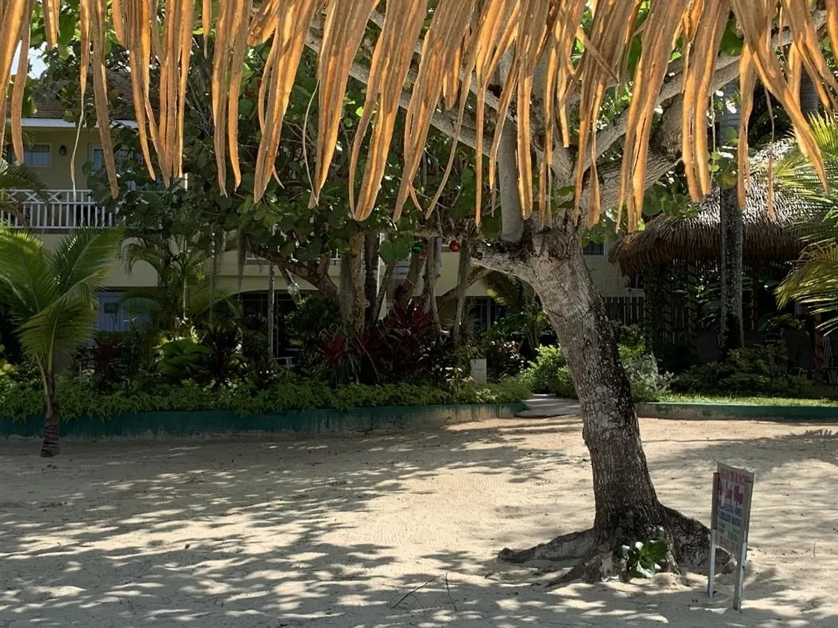 Family Comfort In Jamaica - Enjoy 7 Miles Of White Sand Beach! Villa Negril Jamajka